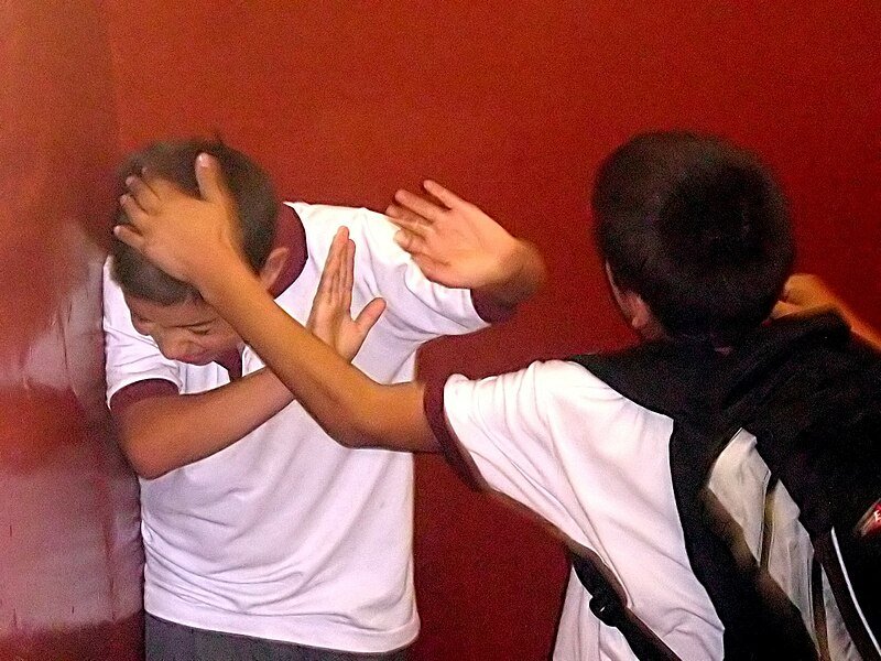 School Bullying